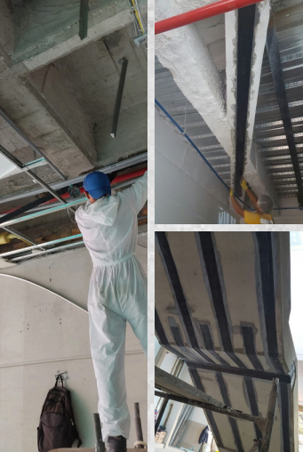 Descripción imagen 2